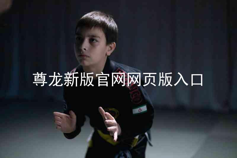 尊龙新版官网网页版入口