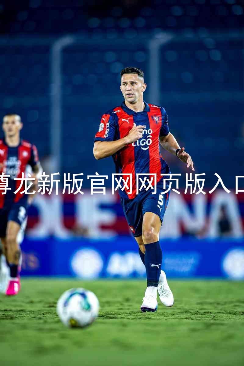 尊龙新版官网网页版入口