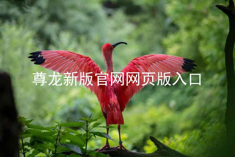 尊龙新版官网网页版入口