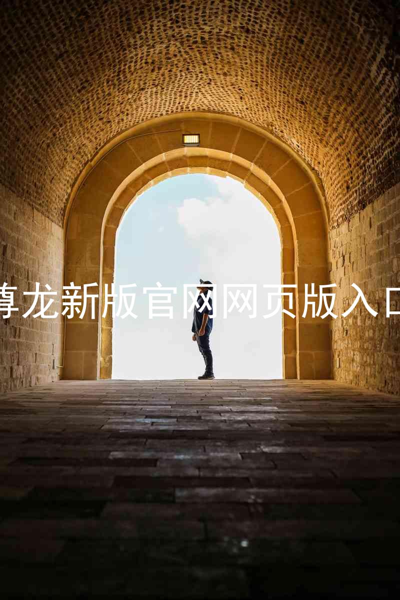 尊龙新版官网网页版入口